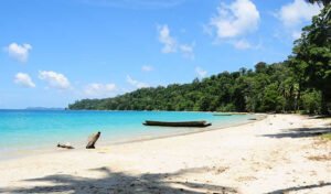 Read more about the article 5 Days Andaman Tour Itinerary 2024
